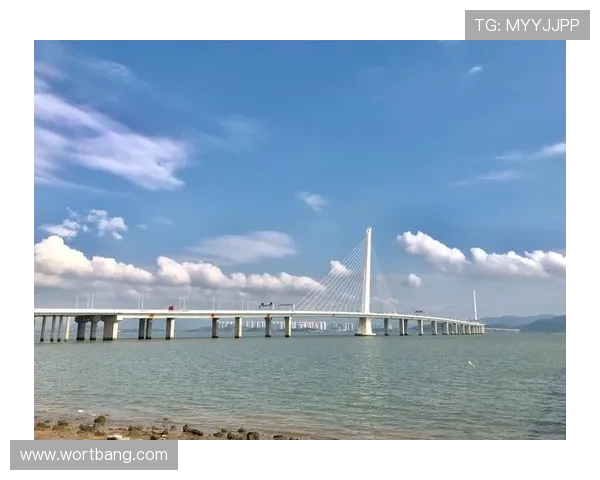 深圳羽毛球队的精神探秘与荣耀之路揭秘